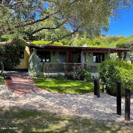 Les Bungalows De Figha Tarcu Exteriér fotografie
