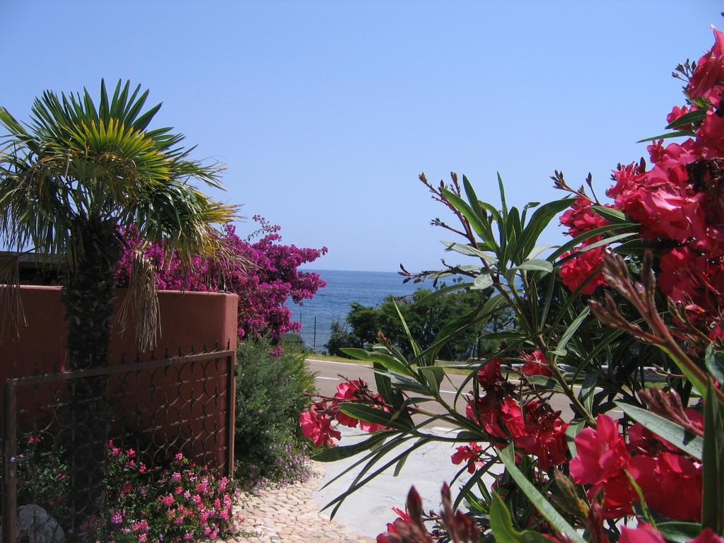 Les Bungalows De Figha Tarcu Exteriér fotografie
