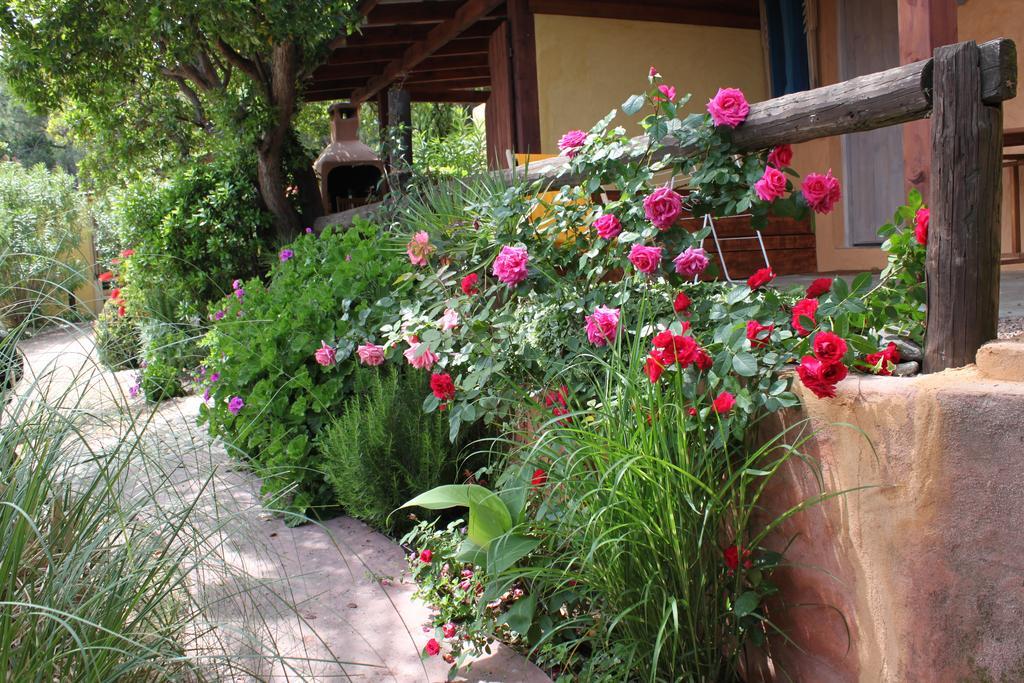 Les Bungalows De Figha Tarcu Exteriér fotografie