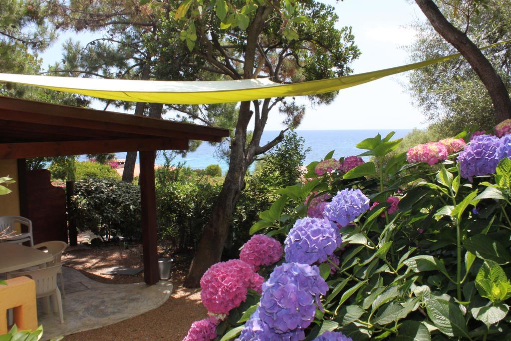 Les Bungalows De Figha Tarcu Exteriér fotografie