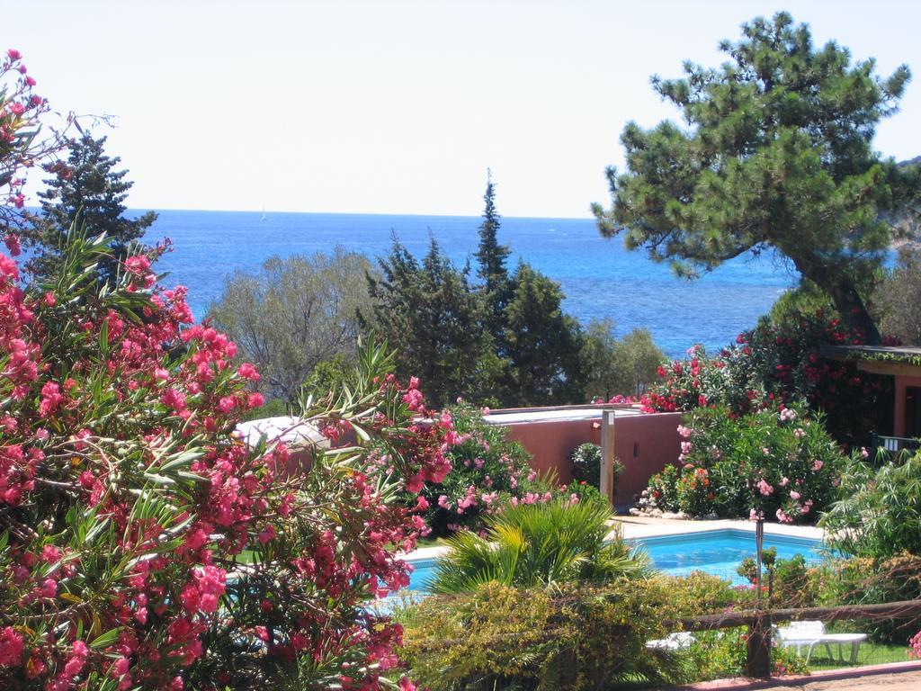 Les Bungalows De Figha Tarcu Exteriér fotografie
